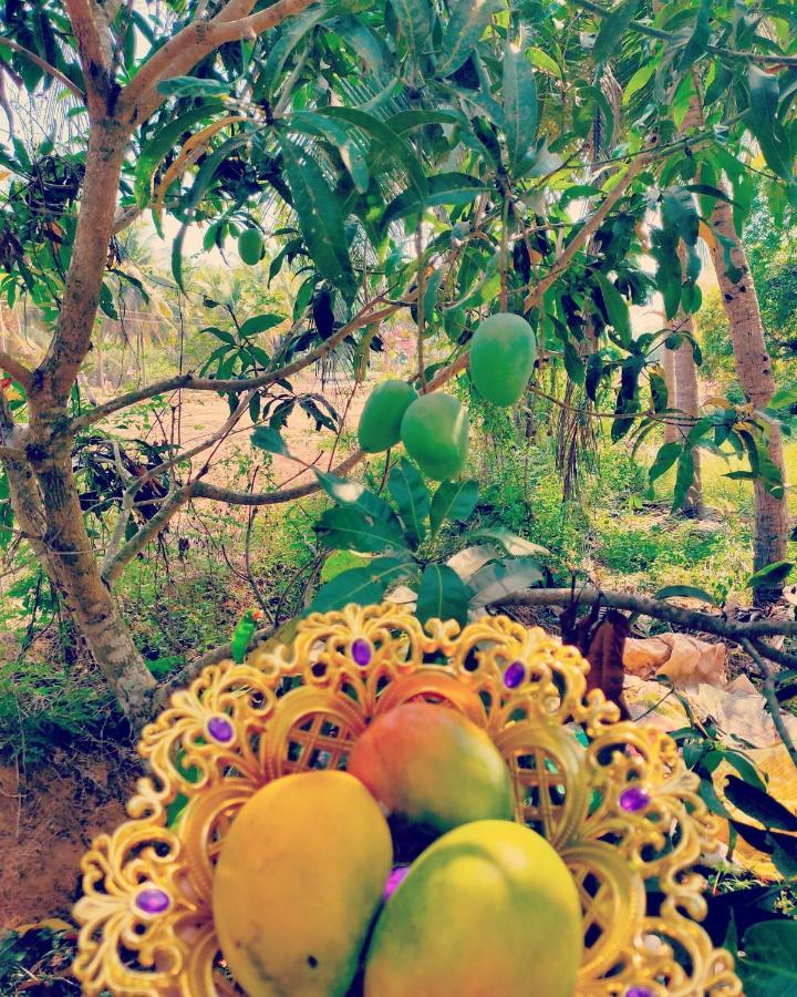 The Big Pineapple Estate Villa Udupi Ngoại thất bức ảnh