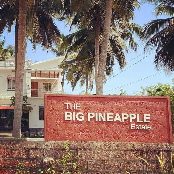 The Big Pineapple Estate Villa Udupi Ngoại thất bức ảnh